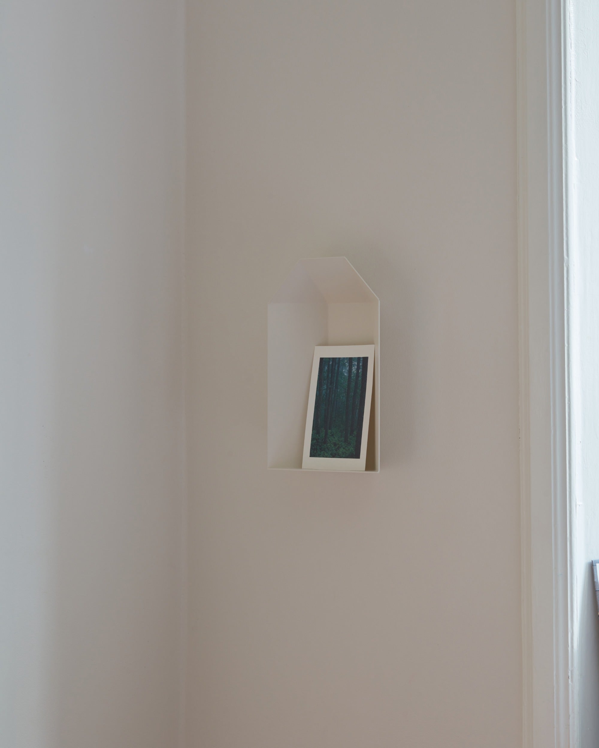 Niche